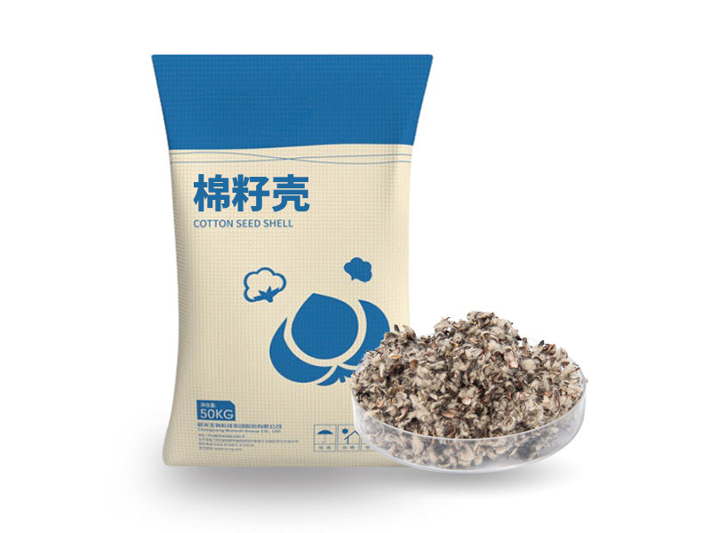 棉籽殼